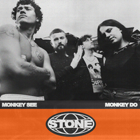 Monkey See Monkey Do