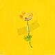 Flowers On My Eyes